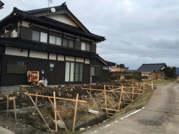 カイズカを伐採、抜根