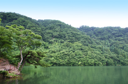 四季折々の風景に彩られる庄川の地