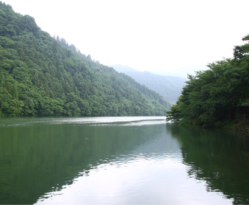 富山のゆたかな自然